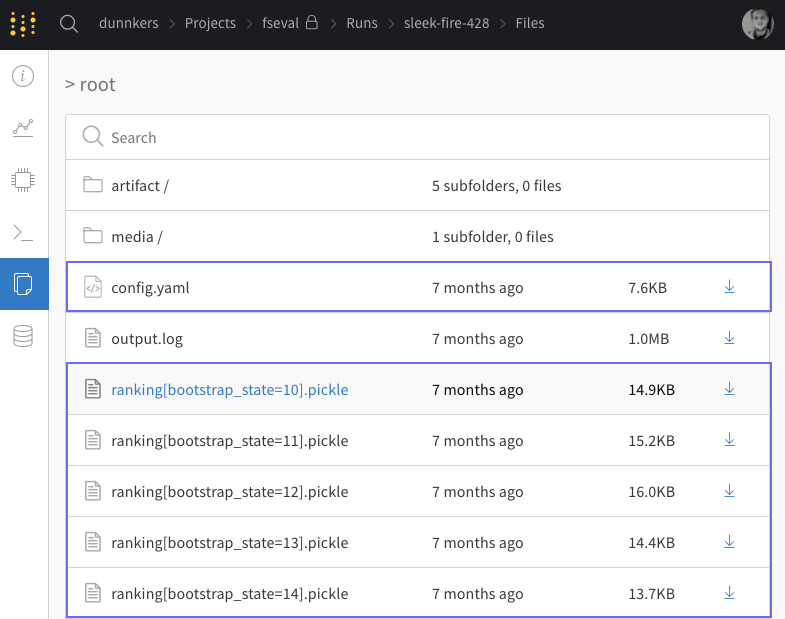 example of wandb storage files